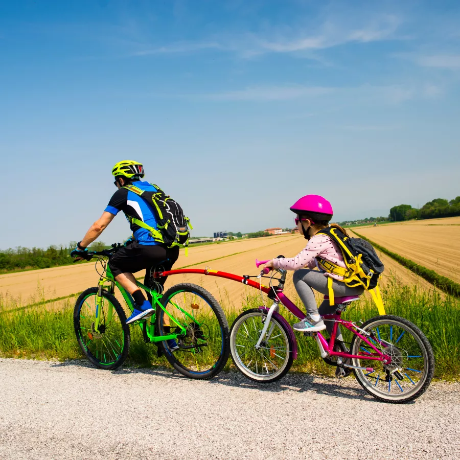 Parent and child riding bikes